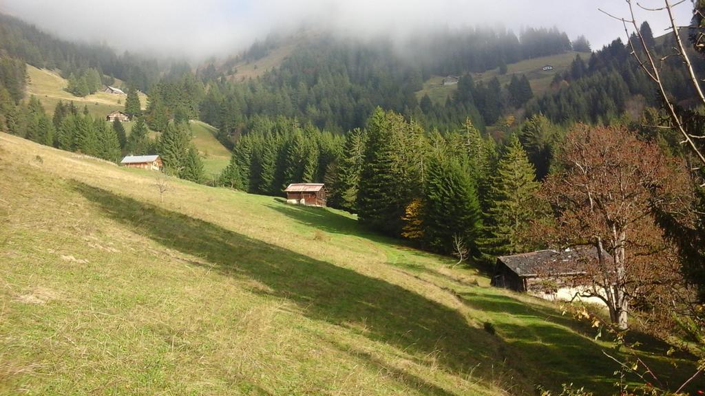 Chambre D'Hote La Petite Bergerie Abondance Zewnętrze zdjęcie