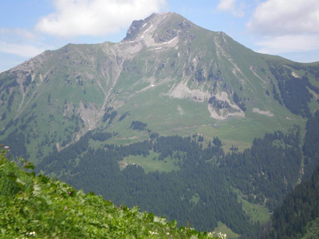 Chambre D'Hote La Petite Bergerie Abondance Zewnętrze zdjęcie