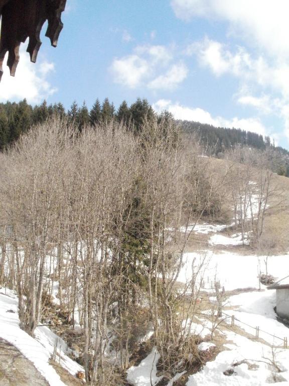 Chambre D'Hote La Petite Bergerie Abondance Zewnętrze zdjęcie